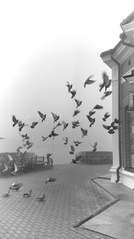 Photograph by Виктор Поздняк