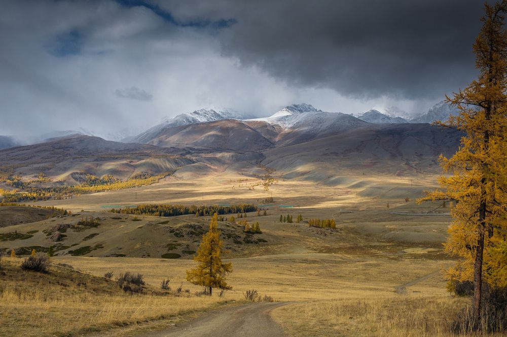 Седой Алтай