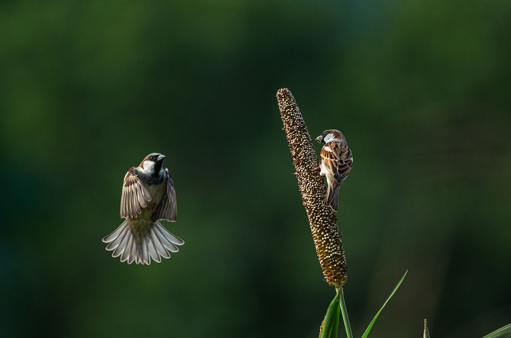 Photograph by Kshitij Patle