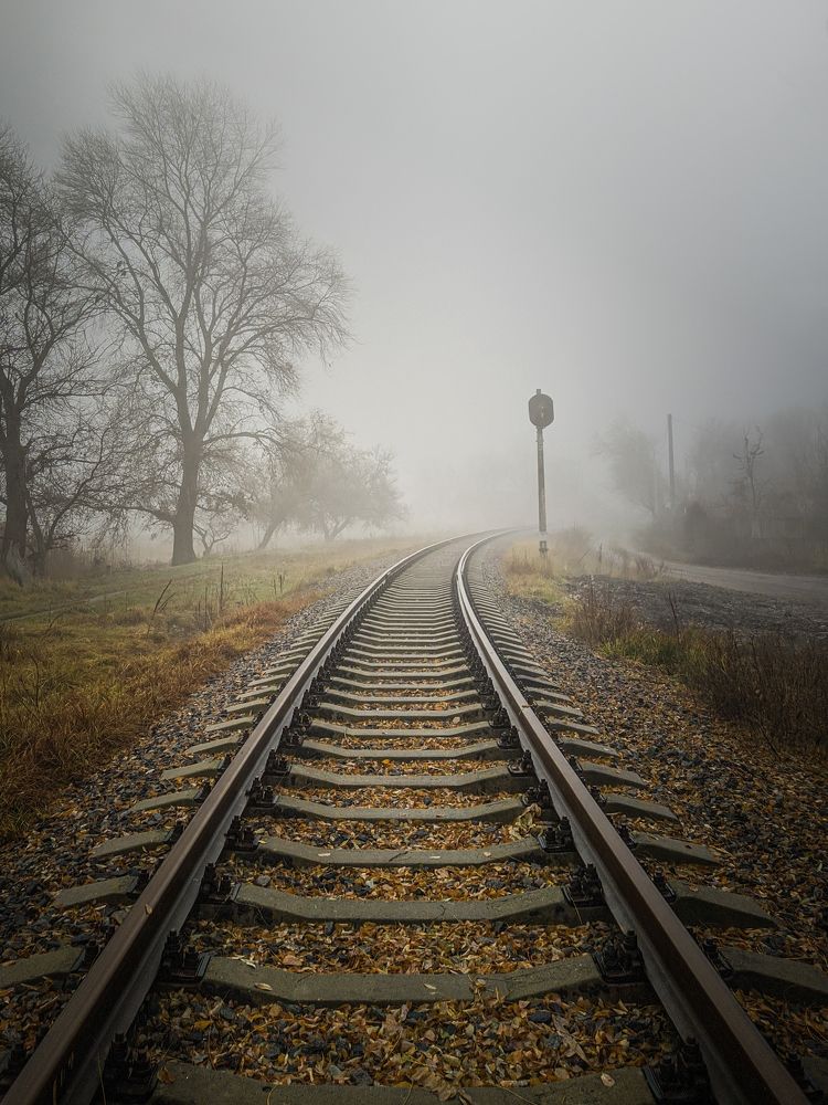 Photograph by Сергей Колос