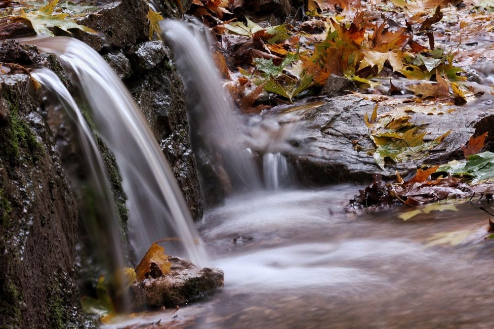Photograph by Ольга Одаренко