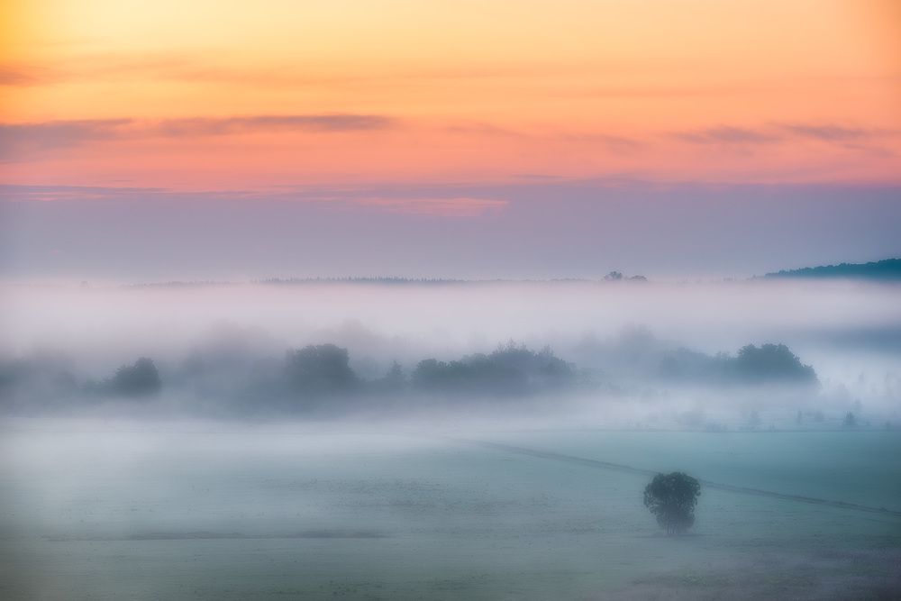 Photograph by Андрей Баскевич