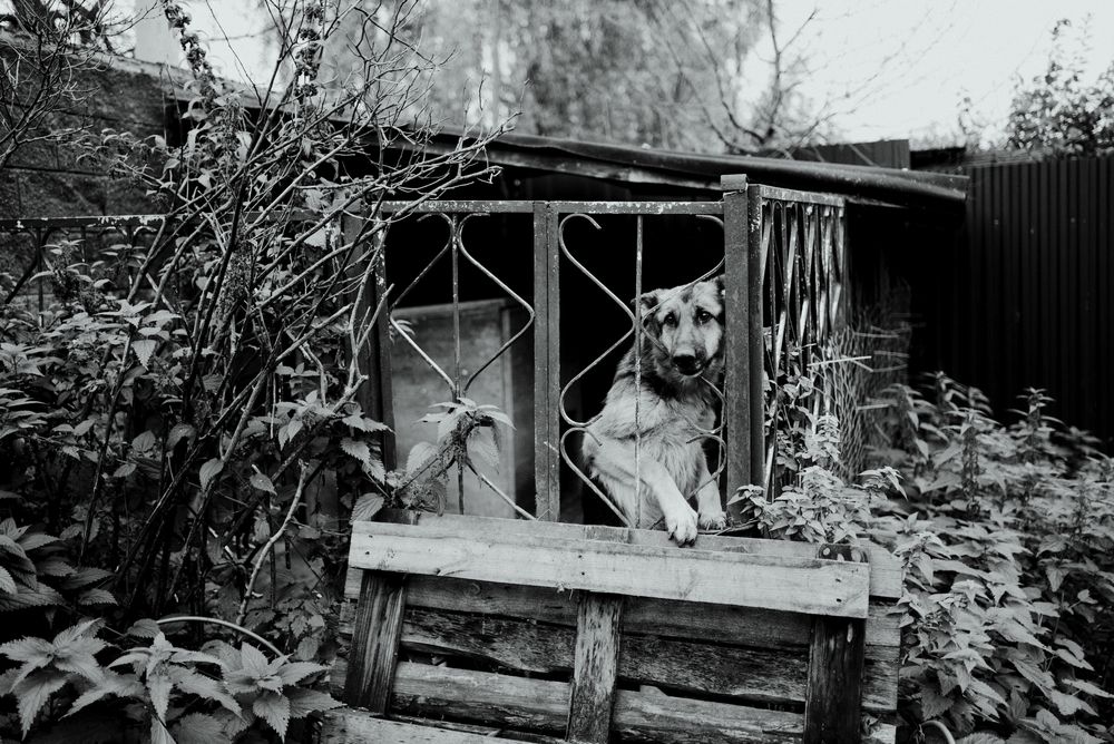 Фотография автора Ivan Kuteynikov