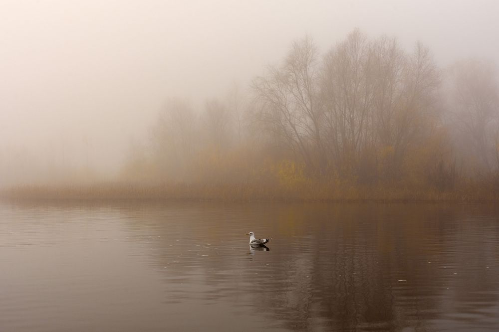 Photograph by алексей овчинников