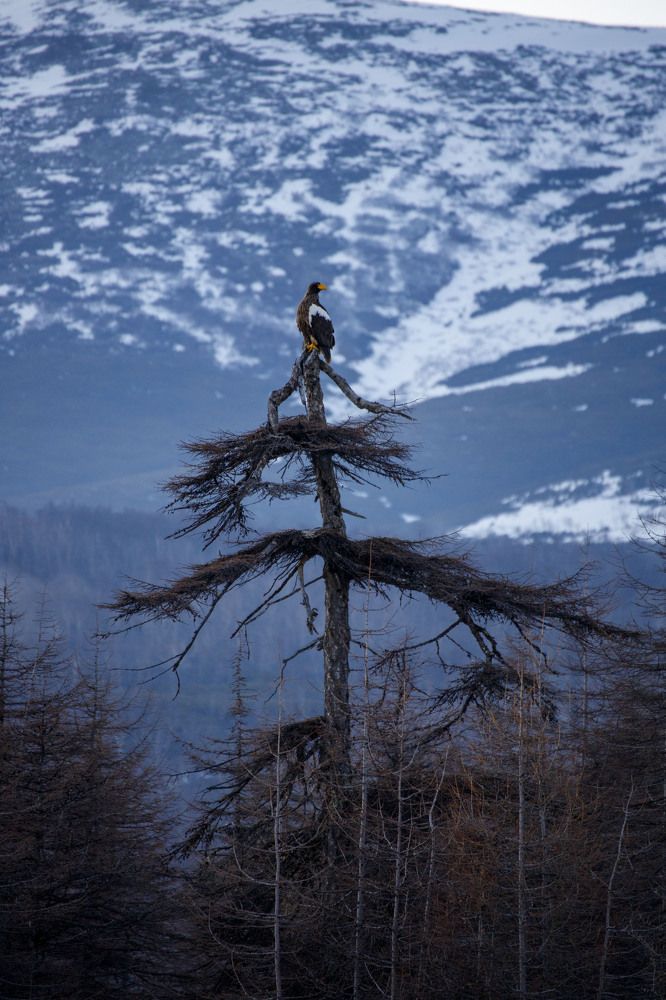 Photograph by Dmitriy Marchenko