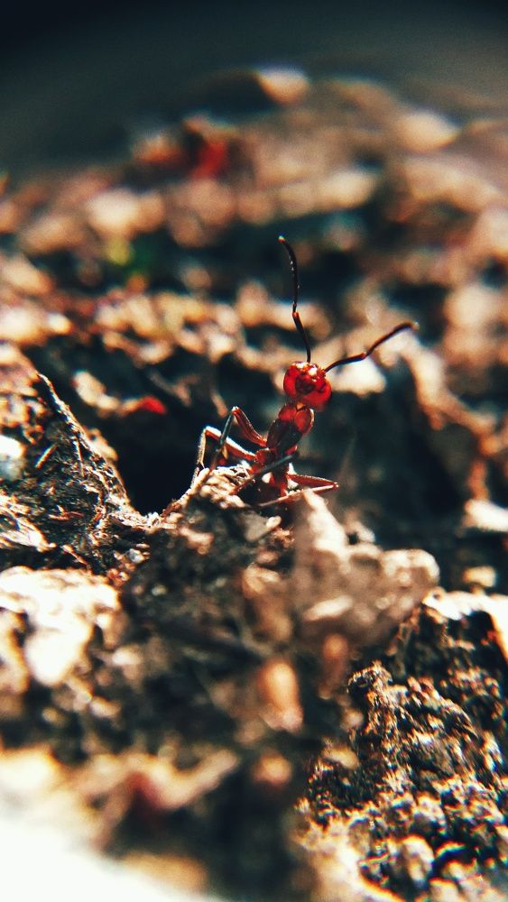 Photograph by Lerka Sonne