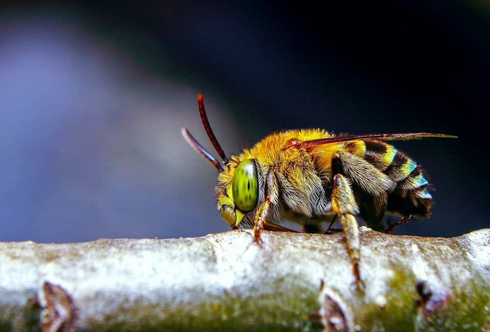 Photograph by Yusuf Buchari