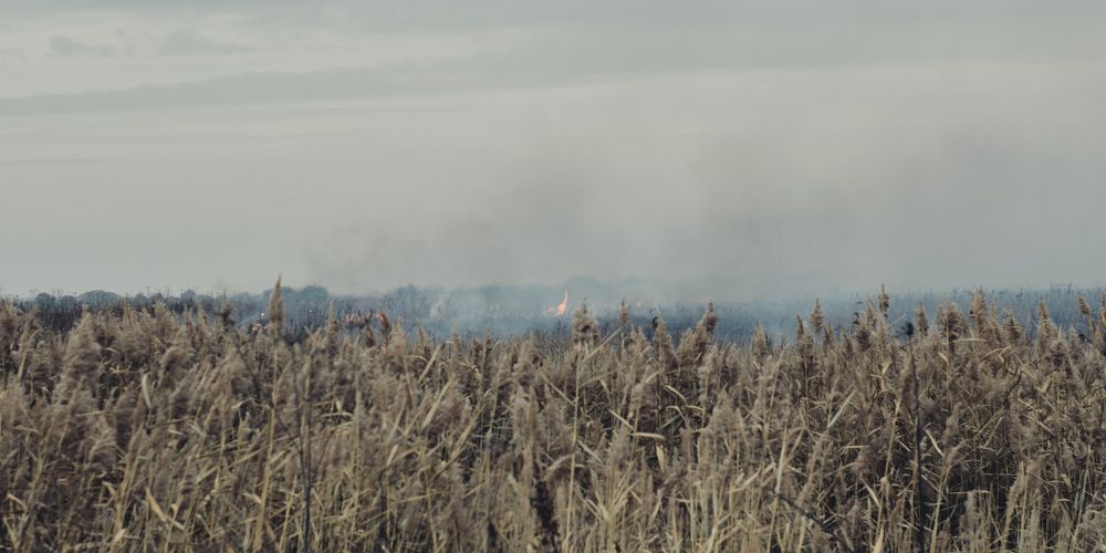 Photograph by Виктория Колышева