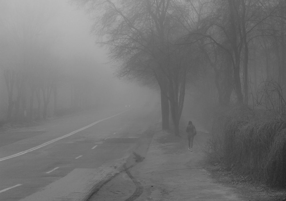 Photograph by Sergey Velichko