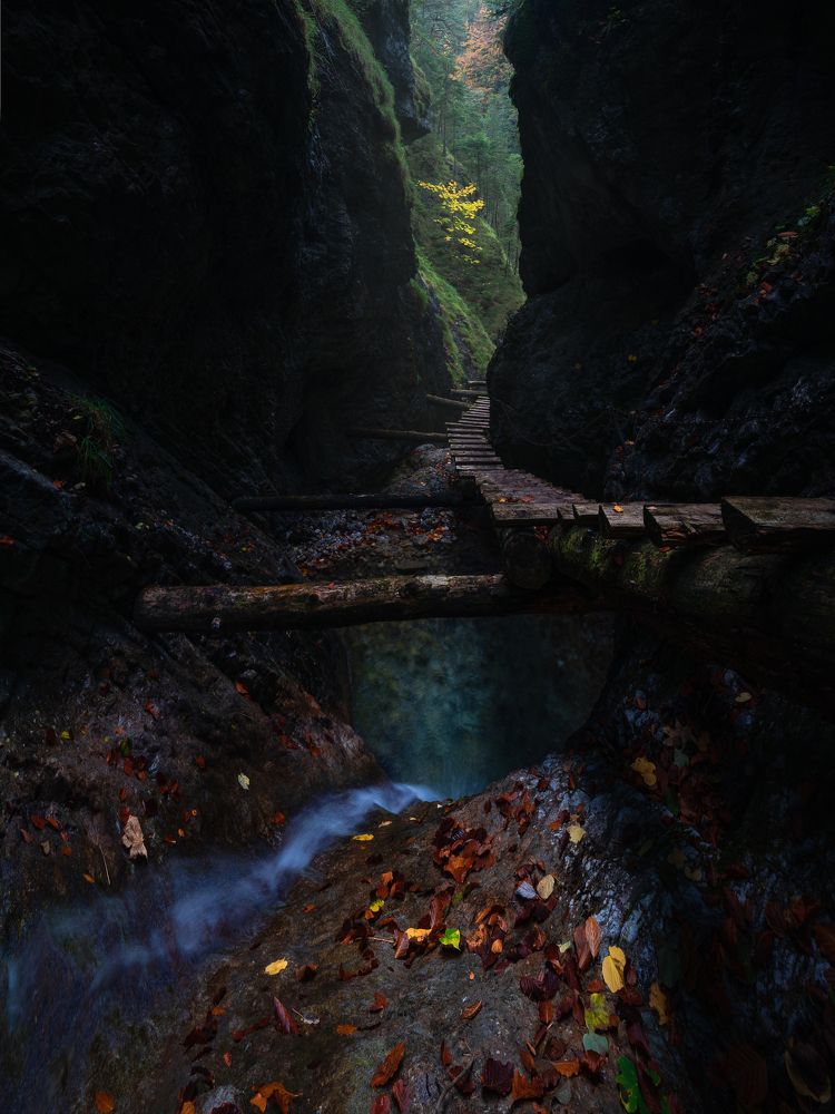 Photograph by Erik Baran