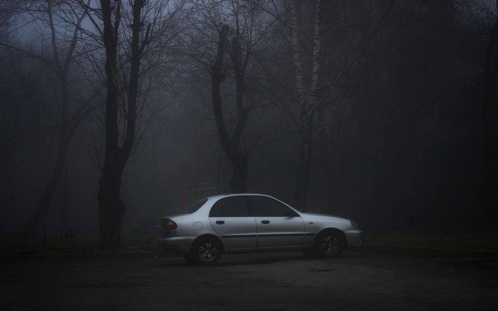 Photograph by Sergey Velichko