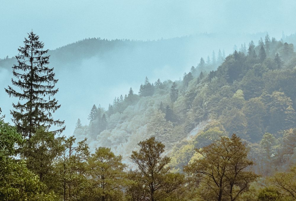 Photograph by Михаил Заброцкий