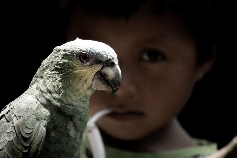 Photograph by Jaime Anibal Venegas Gavilanes