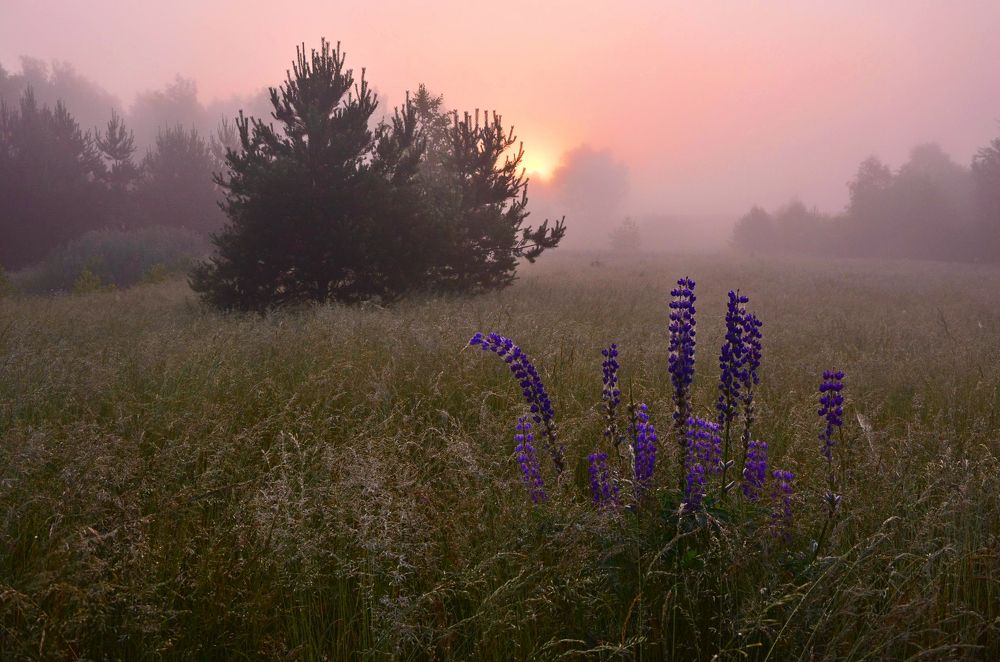 Photograph by Юлия Абрамова