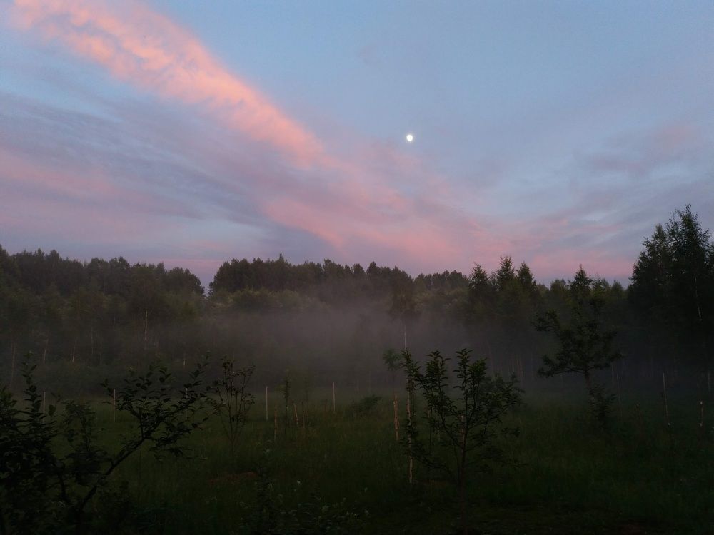 Photograph by Алла Узкая