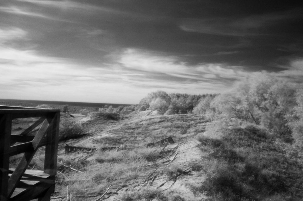 Куршская коса.