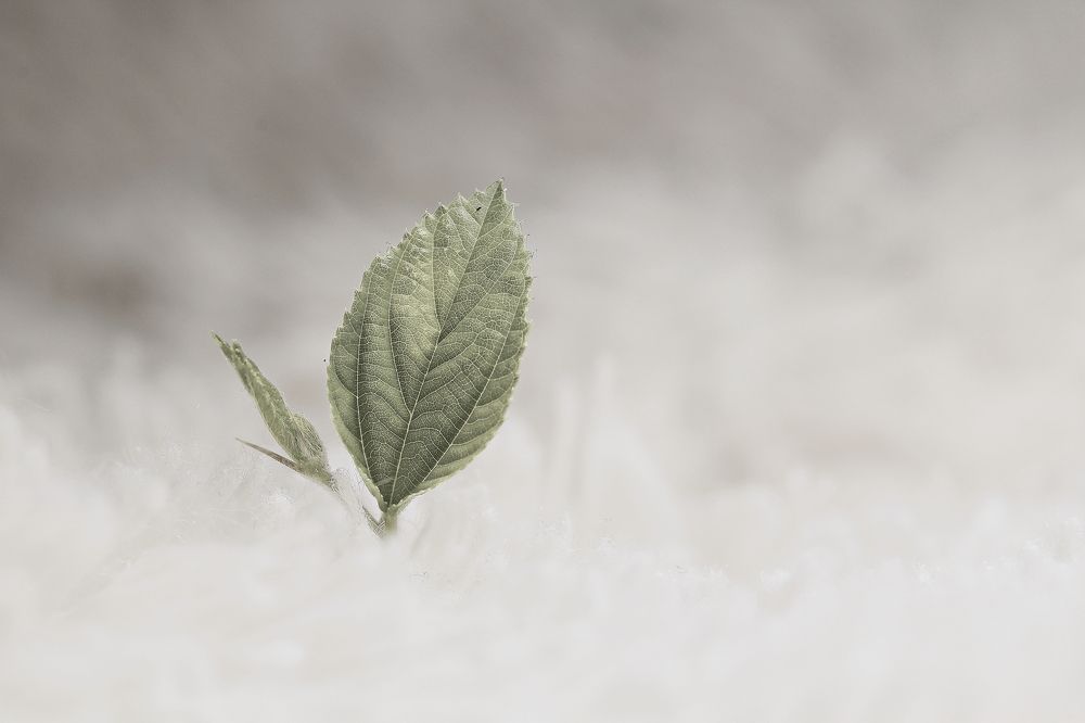 Photograph by Yusuf Buchari