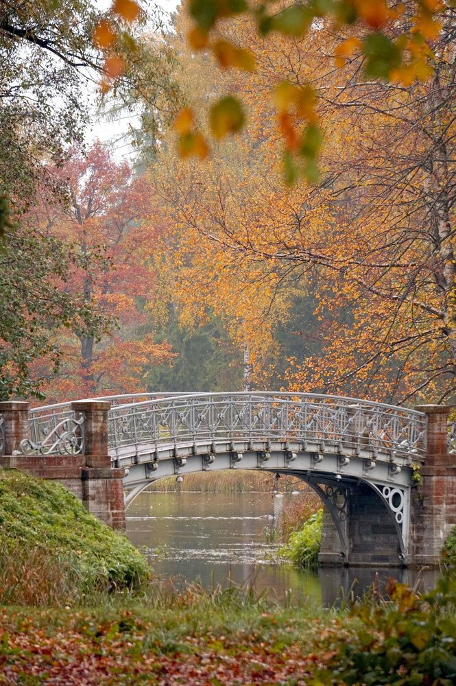 мокнет мостик под дождем
