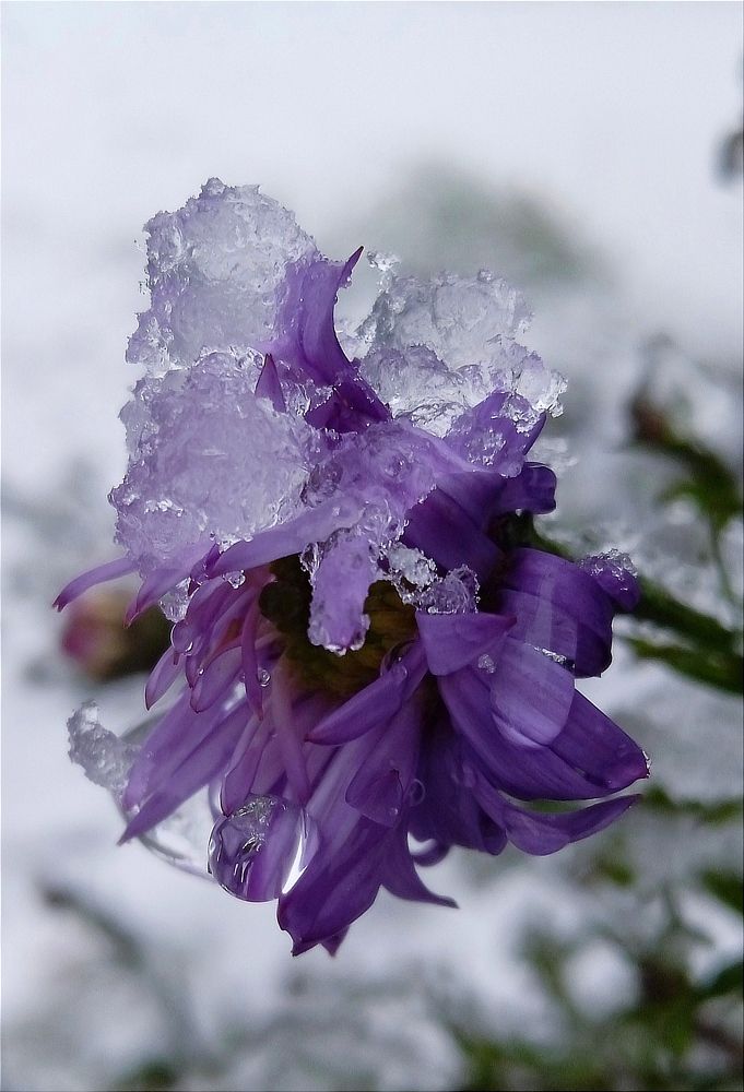 Photograph by Янина Черпухина-Андреева