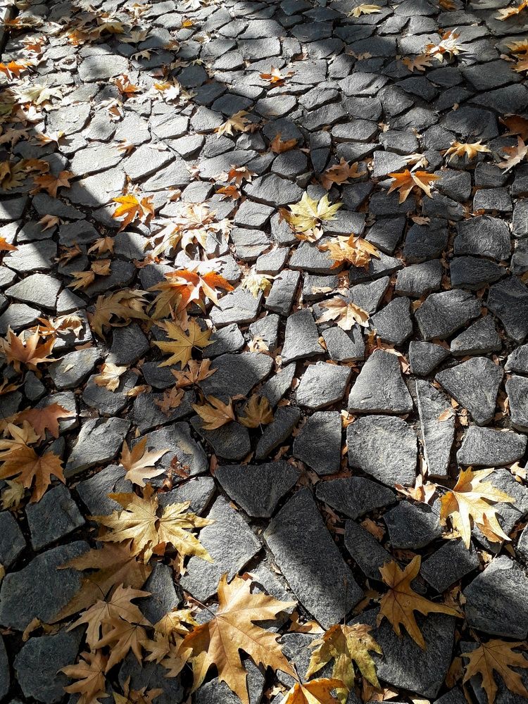 Photograph by Abolfazl Shahmiry