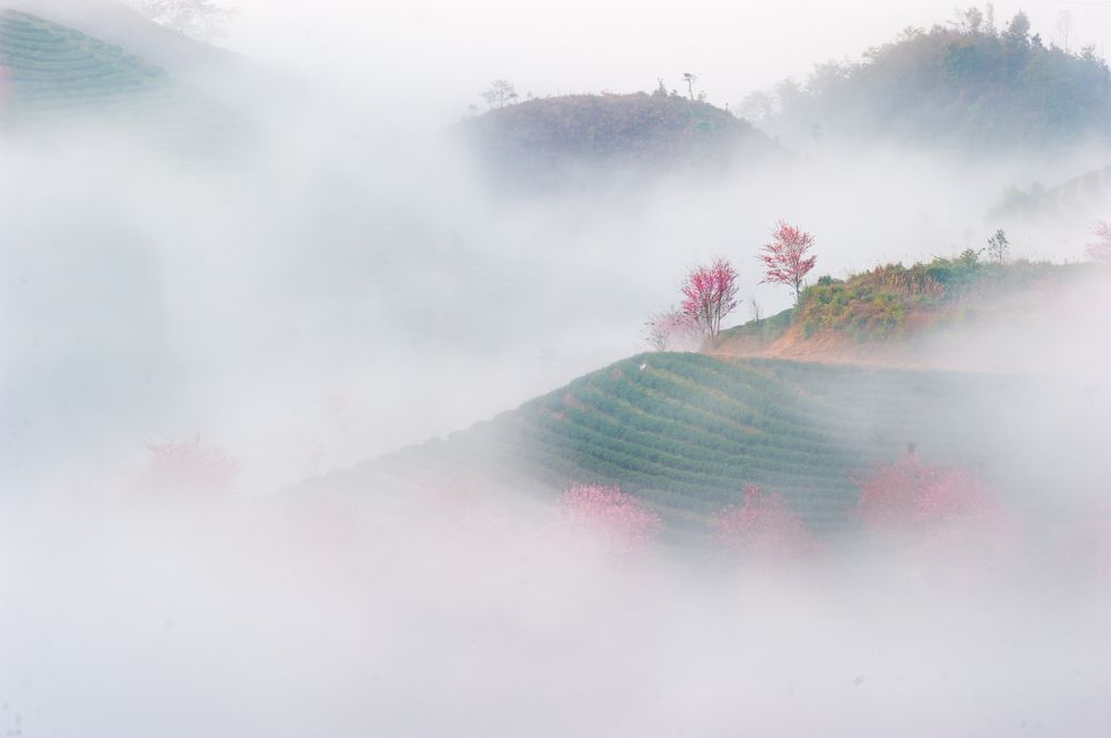 Photograph by Chris Duy