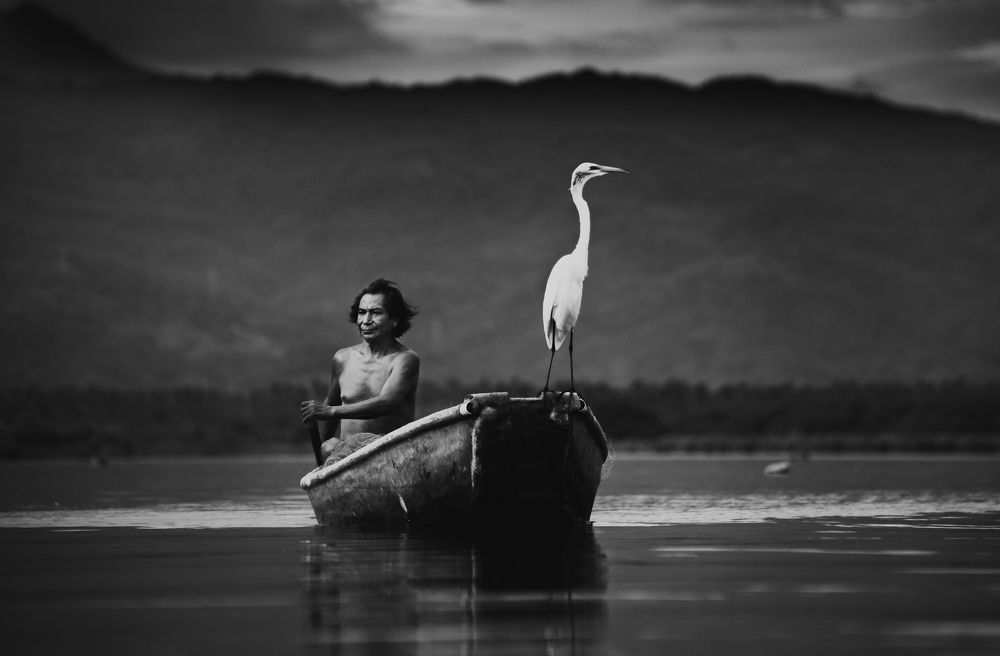 Fieles compañeros de pesca