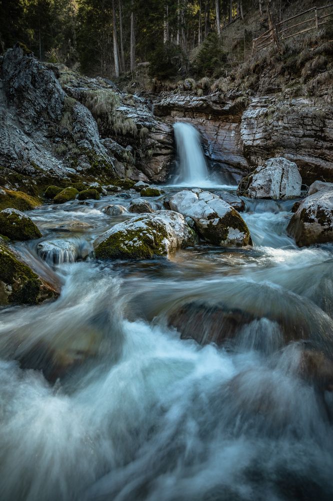 Photograph by Nicholas Art