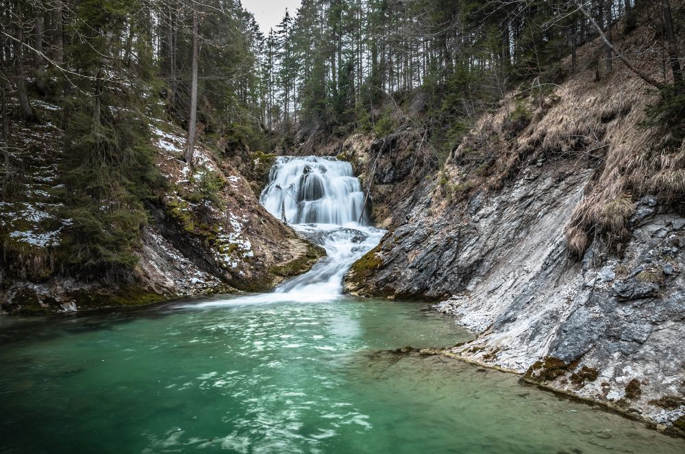 Photograph by Nicholas Art