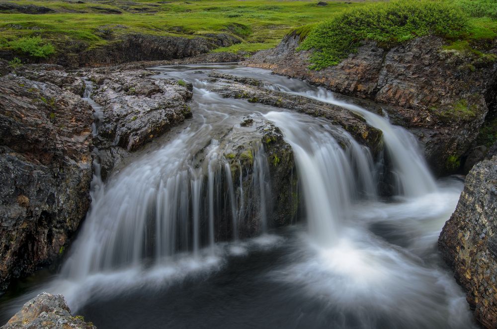 Photograph by Elena Gureva