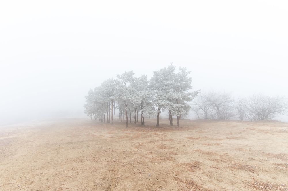 Photograph by 