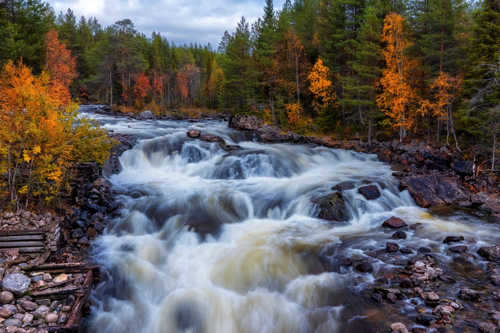 Photograph by Elena Gureva