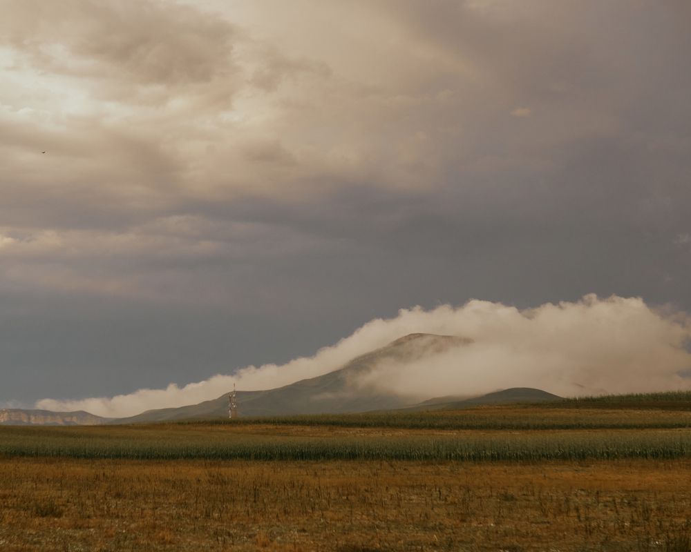 Photograph by Дарья Самойлова