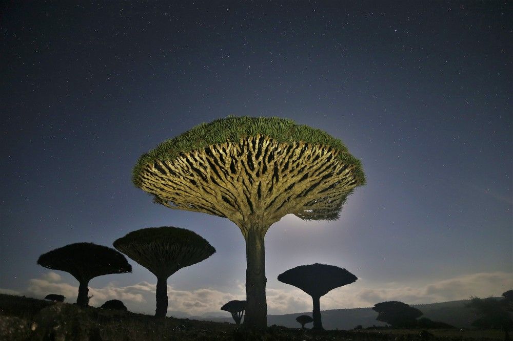 Photograph by Ольга Максимушкина