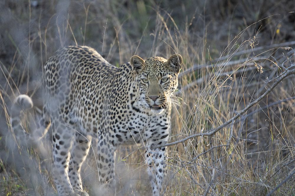 Photograph by Jacky Weckx