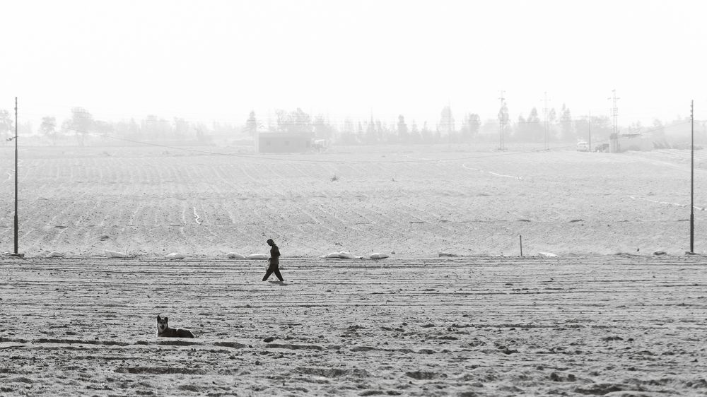 Photograph by Ahmad AbdelAzim