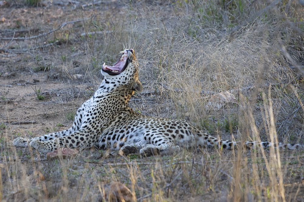 Photograph by Jacky Weckx