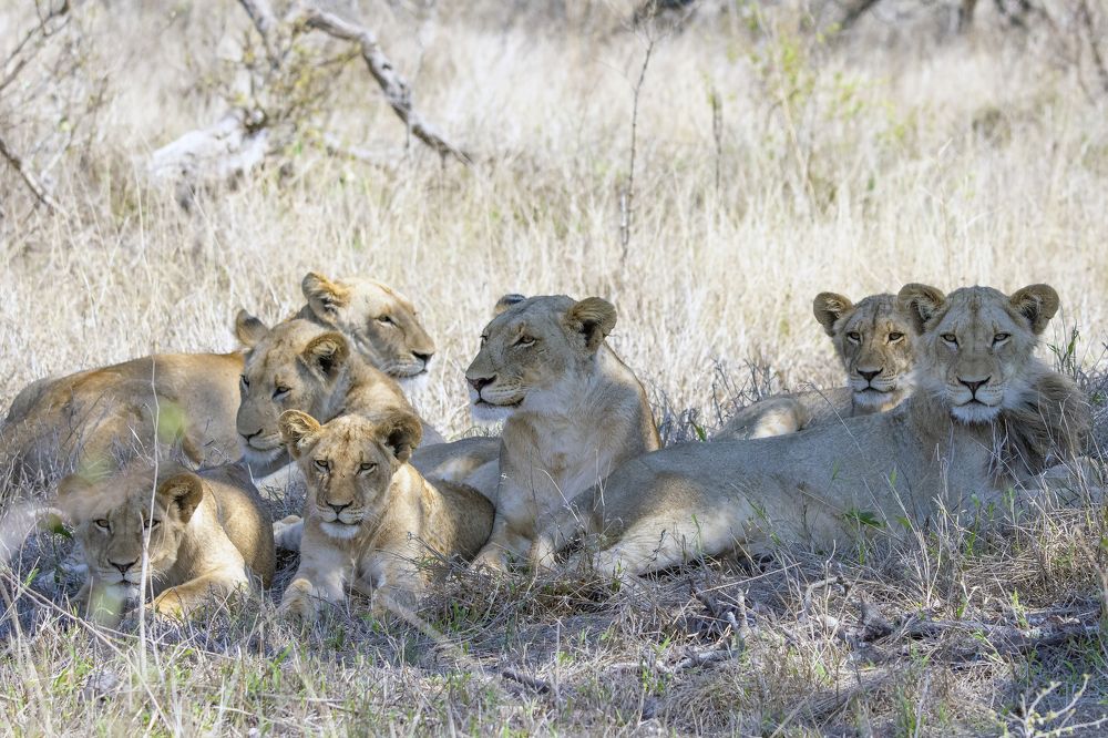 Photograph by Jacky Weckx