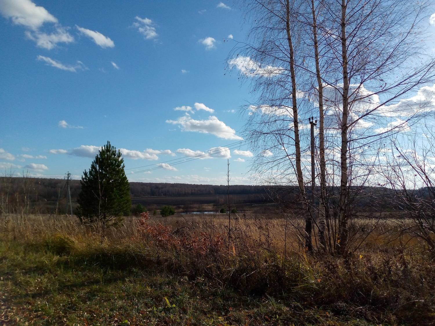 Photo #6818659