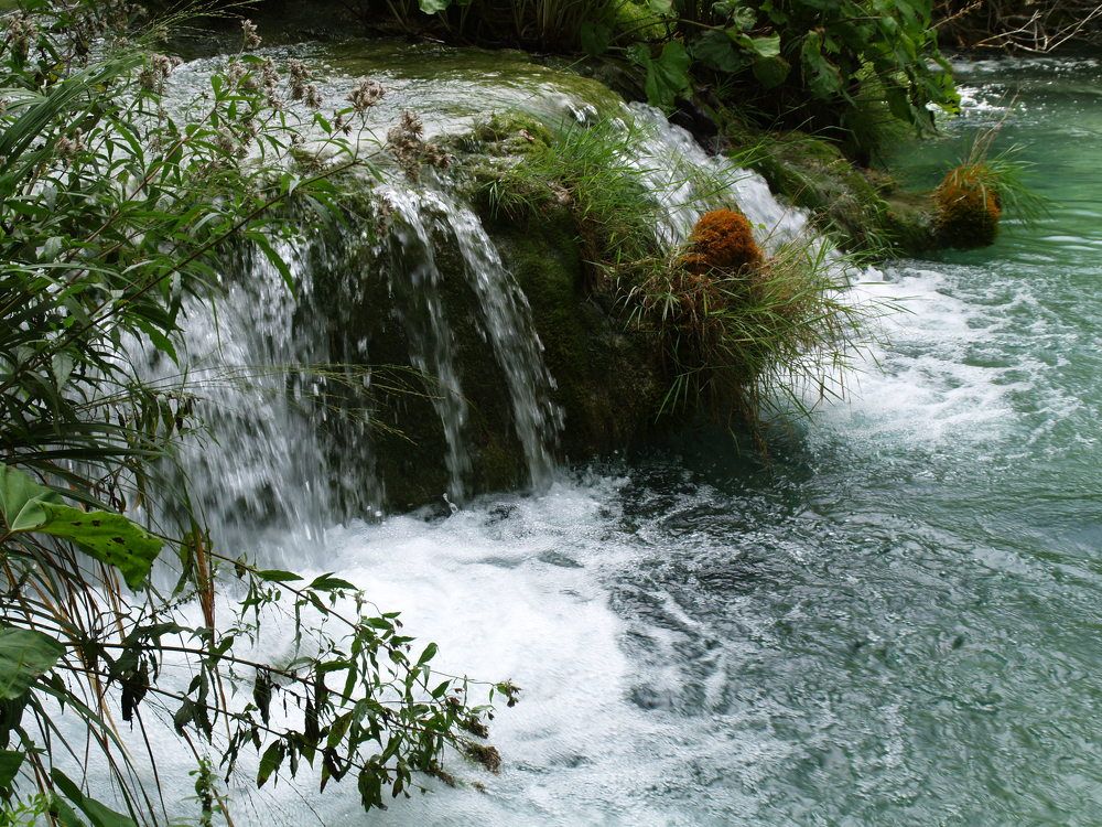 Фотография автора Dubravko Maricic