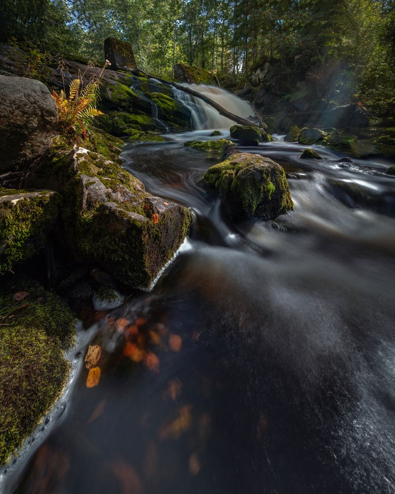 Photograph by Александр Яровой