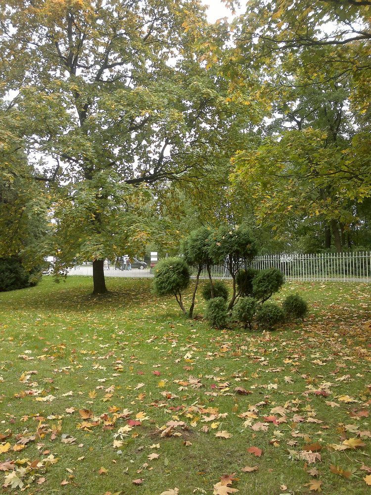 Photograph by Ольга Коркина