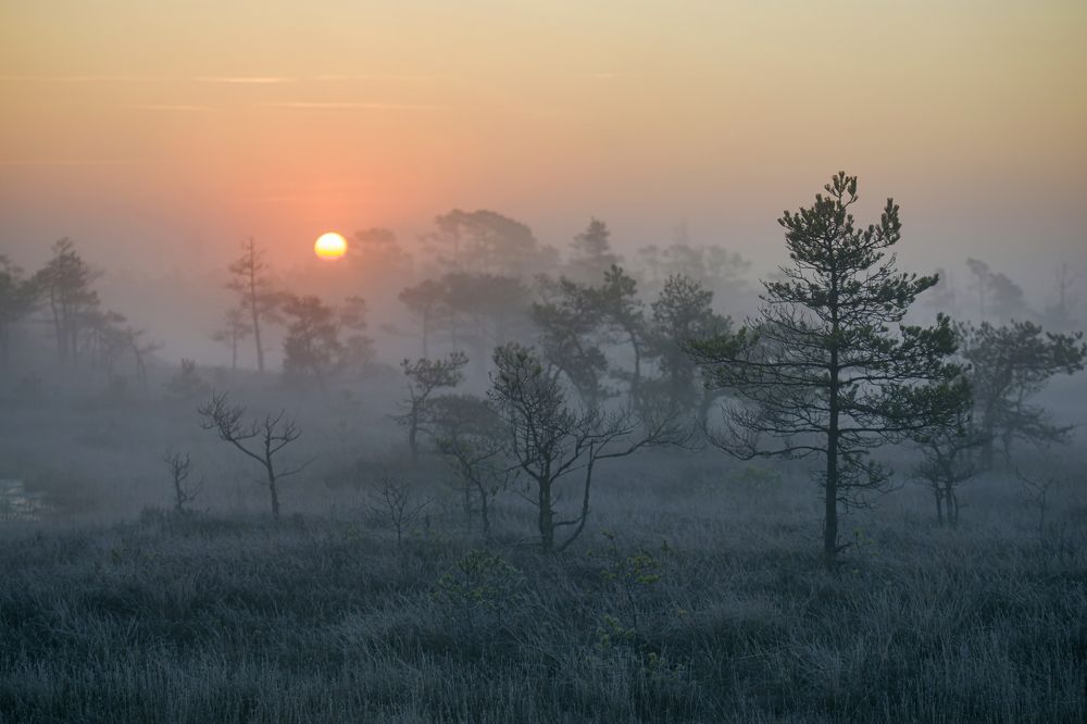 Photograph by Aleksandr