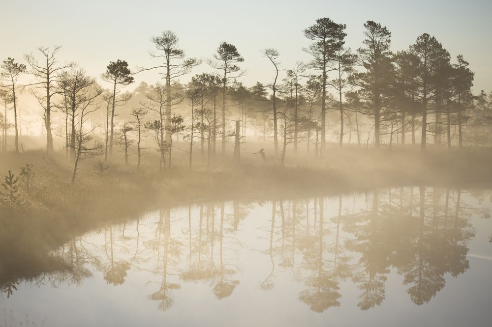 Photograph by Aleksandr