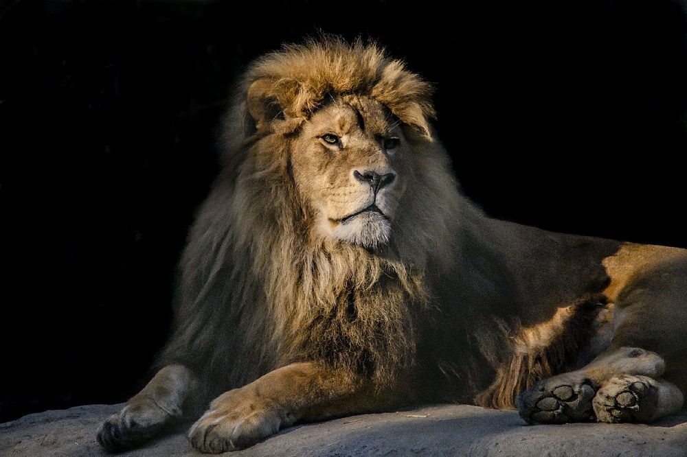 Photograph by Игорь Кувшинников