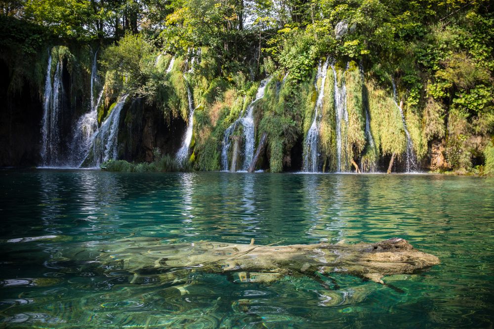 Photograph by Фирдаус Карипова