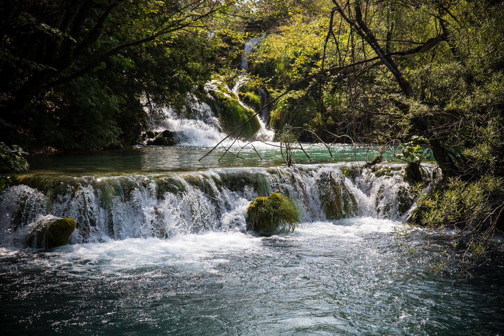 Photograph by Фирдаус Карипова