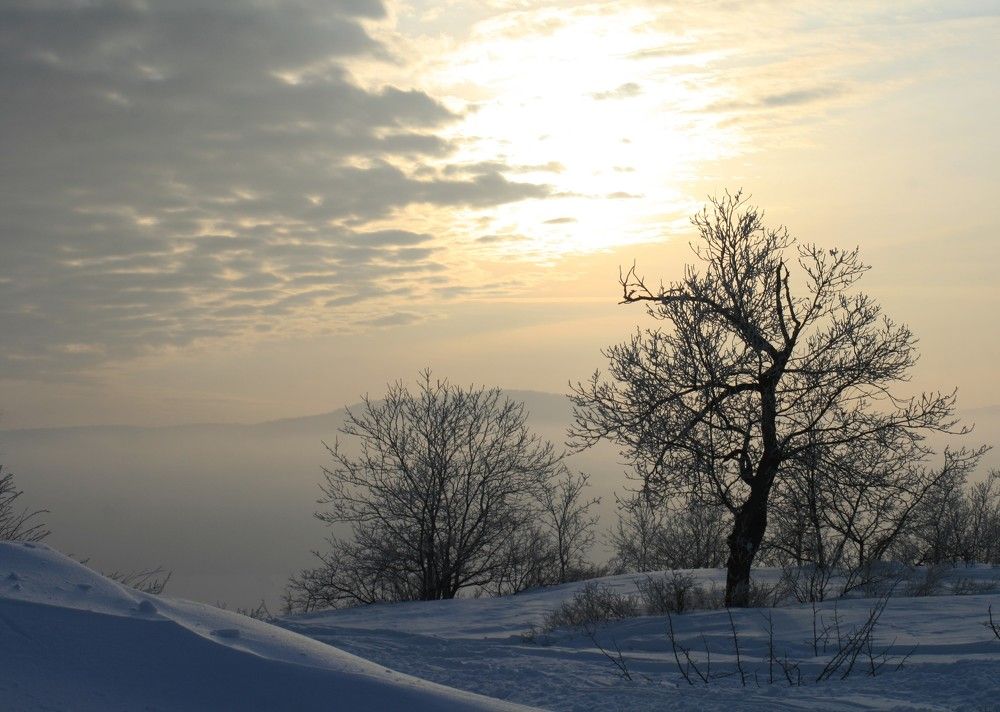 Фотография автора Татьяна Шебаршенко
