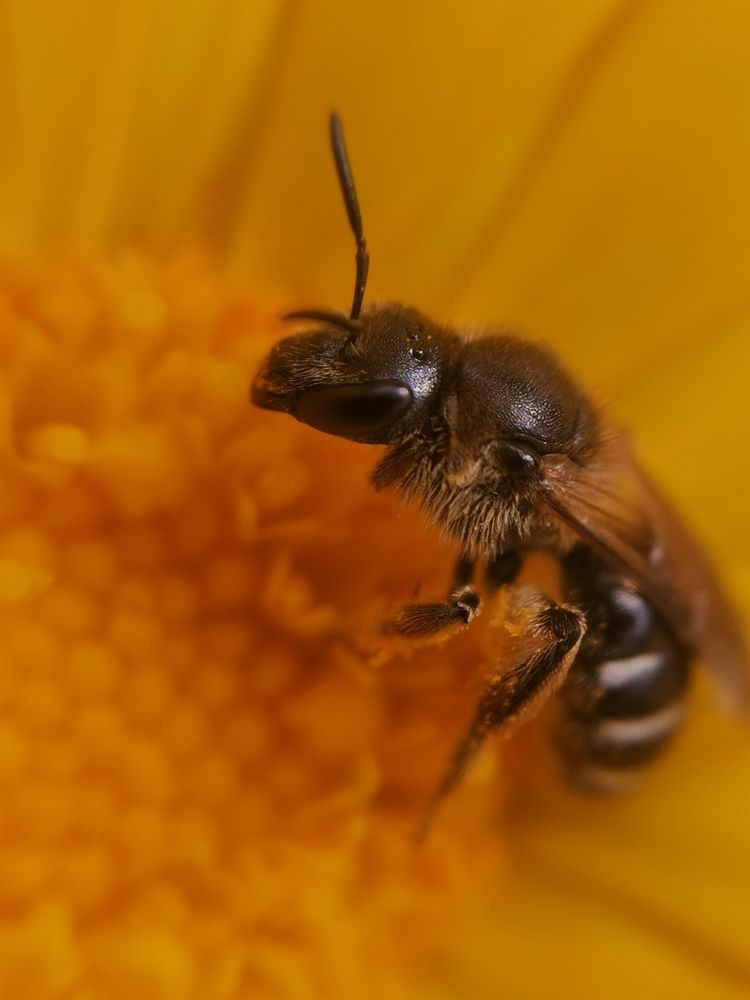 Photograph by Яна Йорданова