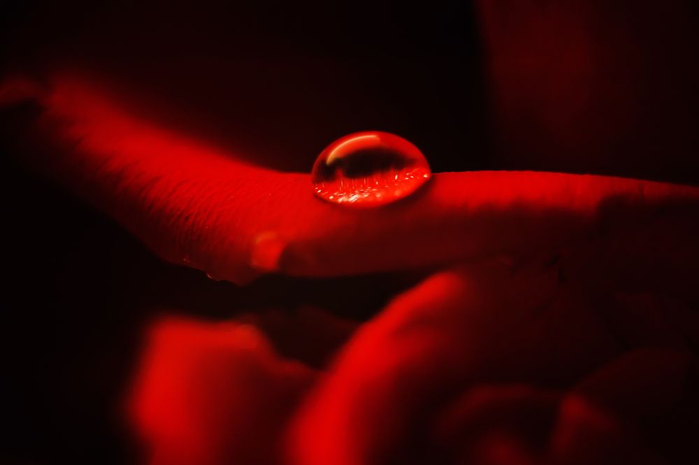 Photograph by Анастасия Селезнева