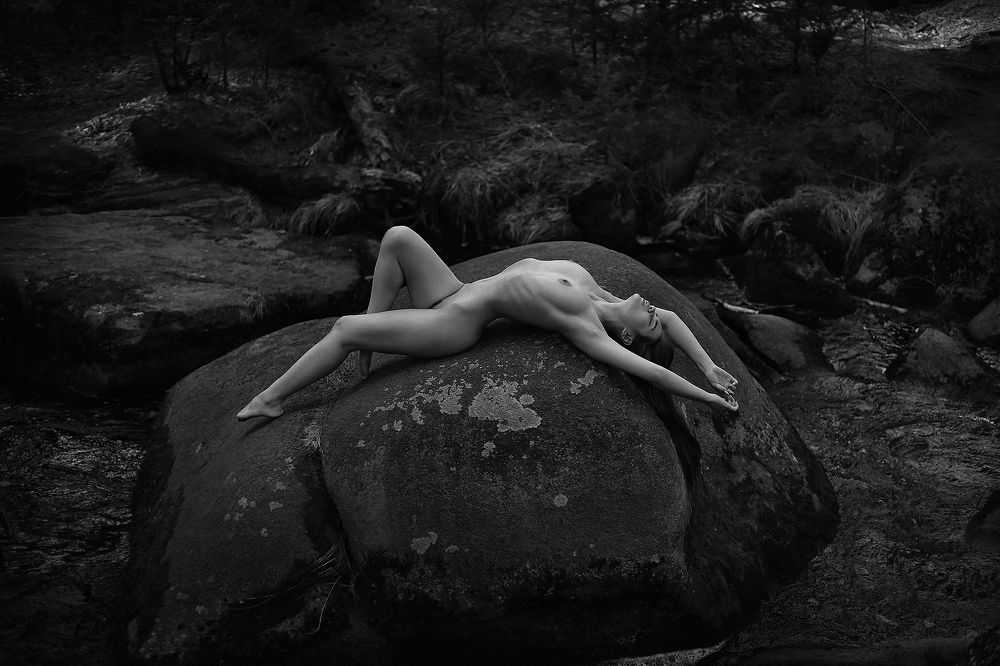 Фотография автора Dmitry Arhar